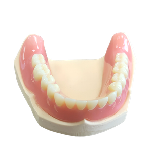 Acrylic Full & Partial Dentures